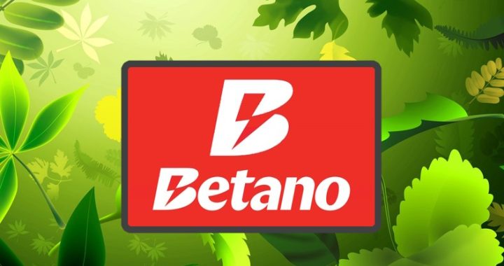 Betano : Téléchargez l’application mobile et profitez de 100 Free Spins