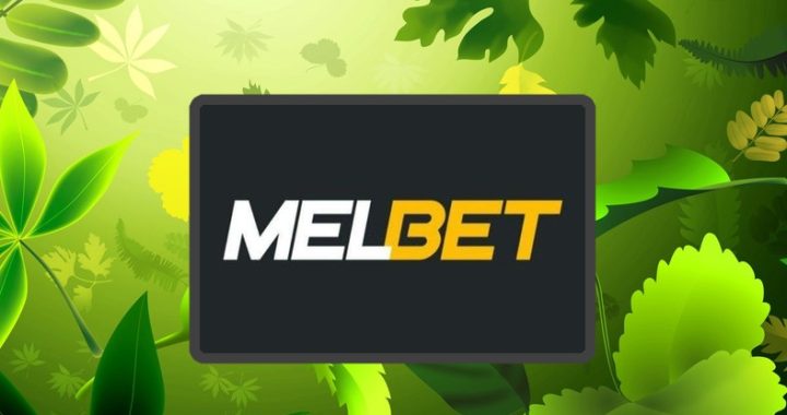 MelBet : Téléchargez l’application mobile, cashback de 10% chaque semaine