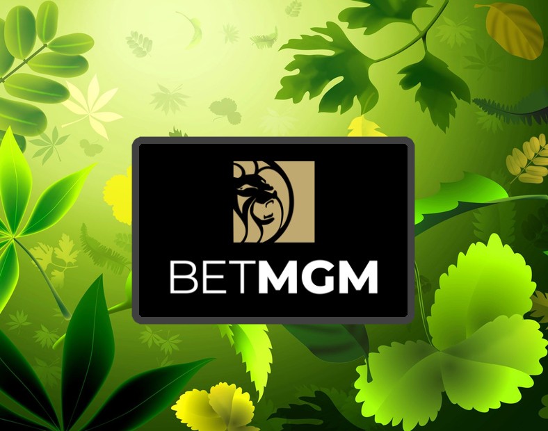 BetMGM Jusquà 35 000 £ de gains et bonus sans condition