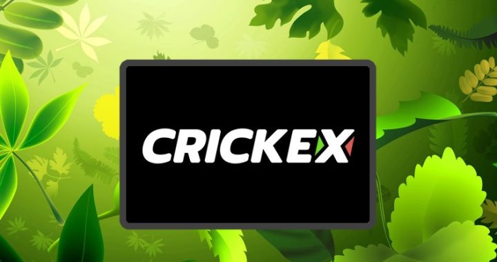 Crickex: Inscription rapide, Bonus jusqu’à 500 000 INR et plus