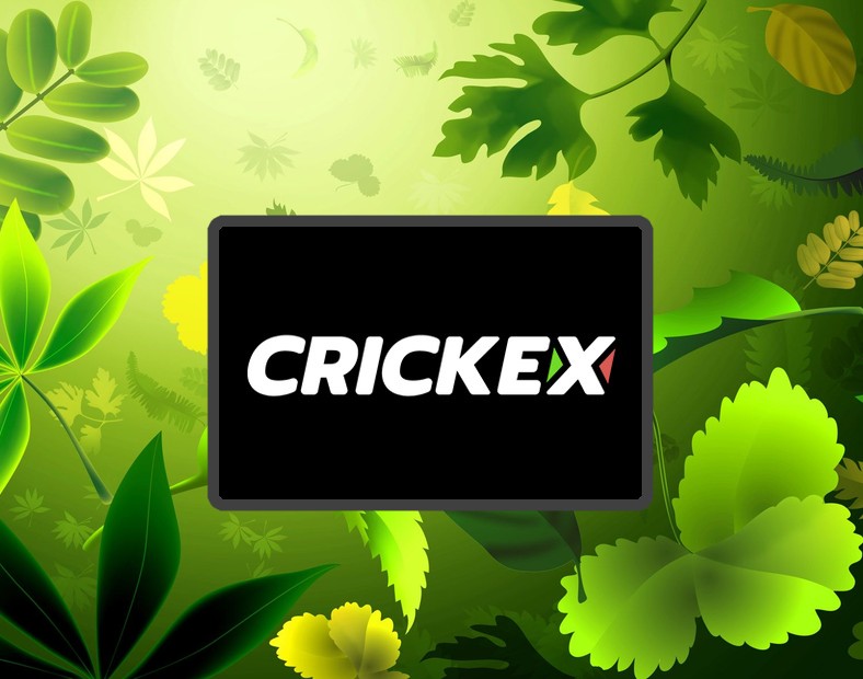 Crickex Inscrivez vous en 4 étapes et gagnez avec des paris Exchange